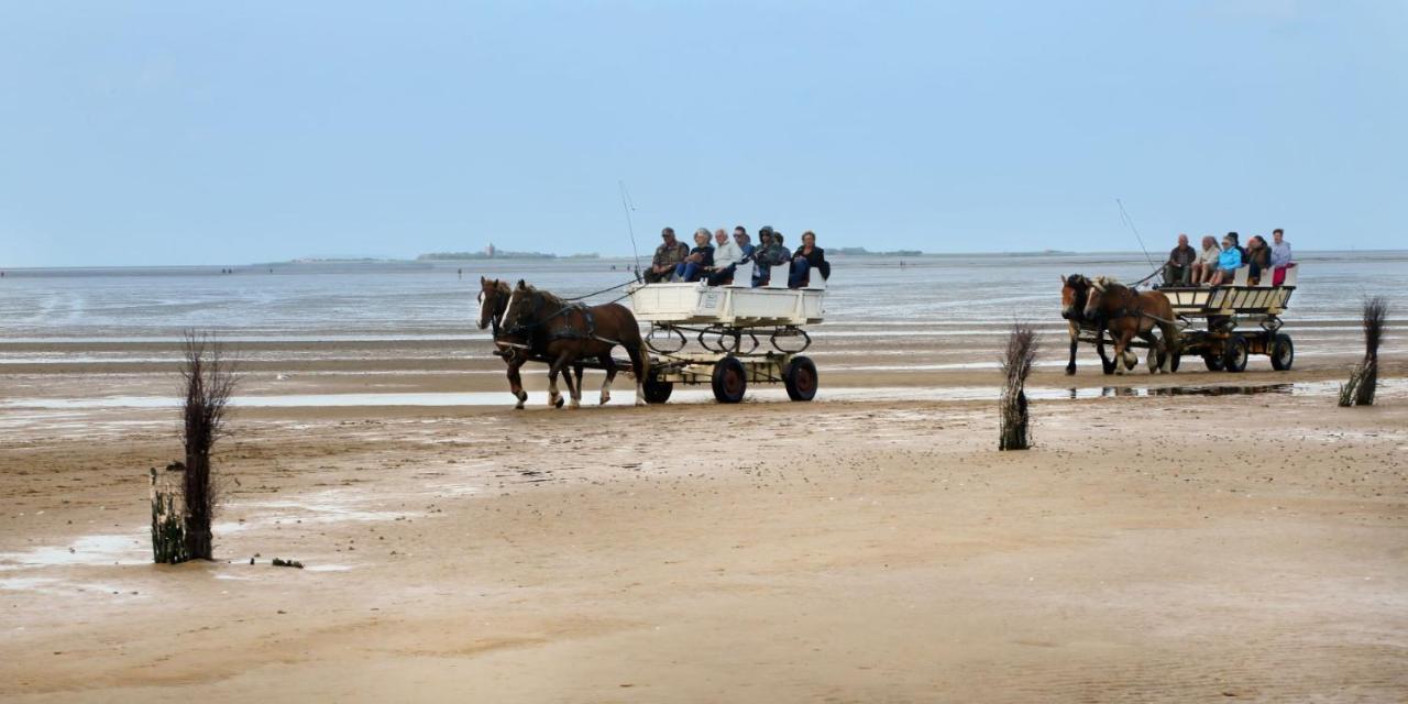 Appartementhaus Horizont Appartamento Cuxhaven
